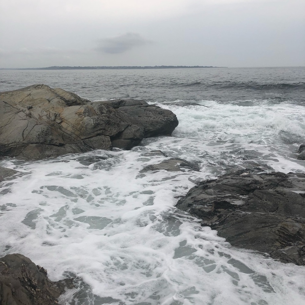 Meet your Posher, Haley